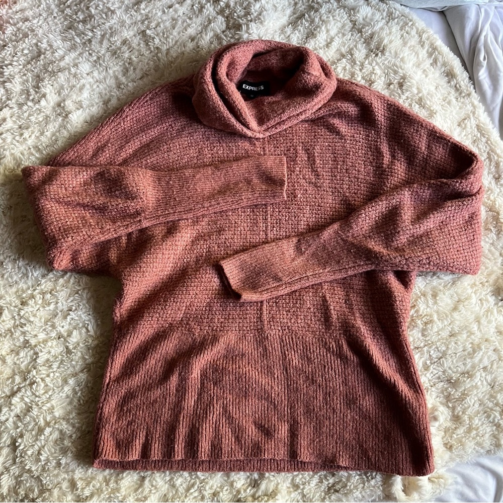 EXPRESS Turtleneck Sweater